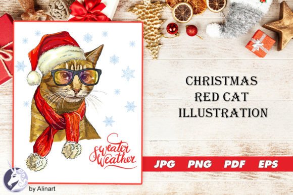 Christmas Red Cat Illustration Review for Real Projects