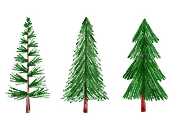 Christmas Watercolor Fir Tree: Premium Illustrations for Crafters